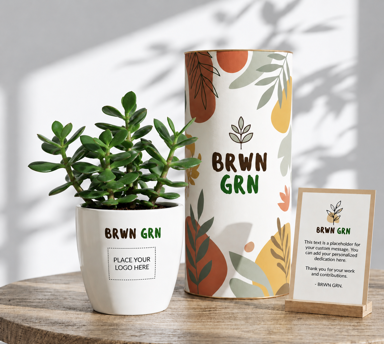 Jade Plant in 4 inch pot - Bulk Gifting