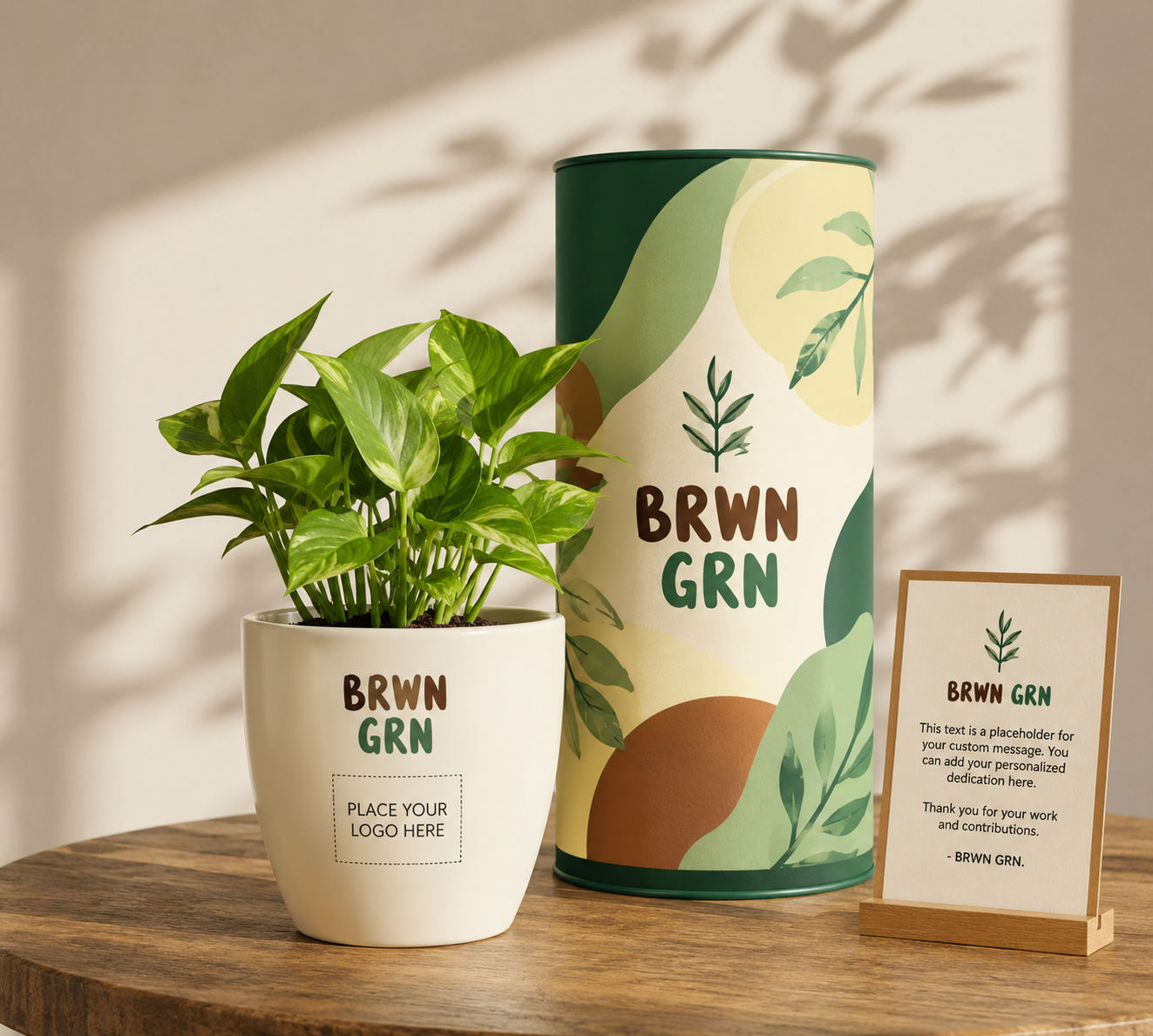 Money Plant Variegated - Bulk Gifting