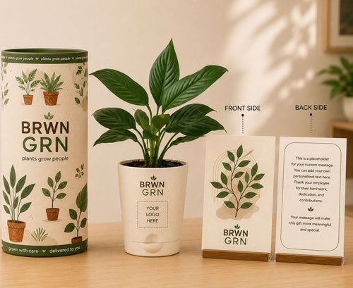 Gift hamper- Potted plant with branded container and card on a wooden surface